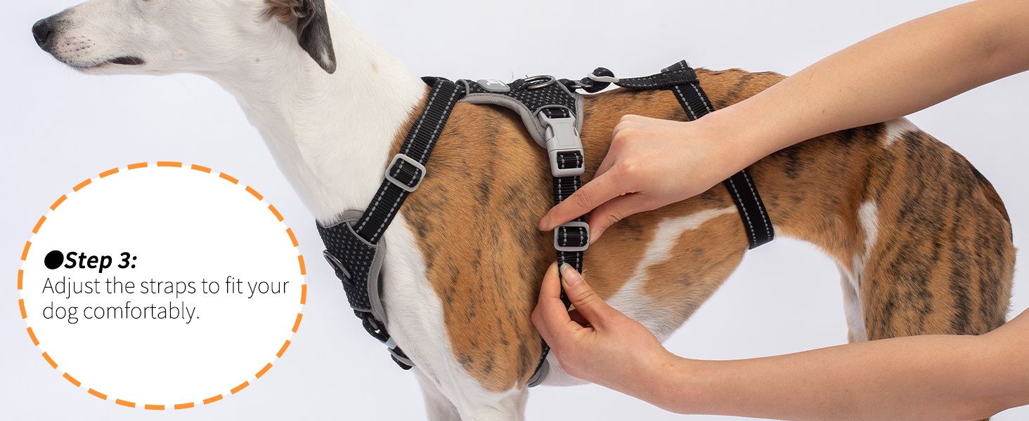 escape proof dog harness