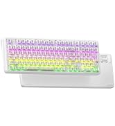 XVX M98 Wireless Mechanical Keyboard,Stripes RGB with Shine-Through Keycaps | Tri-Mode BT5.0/2.4G...