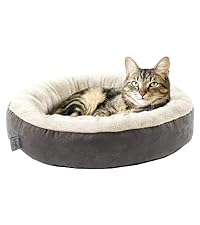 https://m.media-amazon.com/images/S/aplus-media-library-service-media/cc115bfb-20b4-4c70-86c2-2fdd72555343.__CR0,0,400,450_PT0_SX200_V1___.jpg
