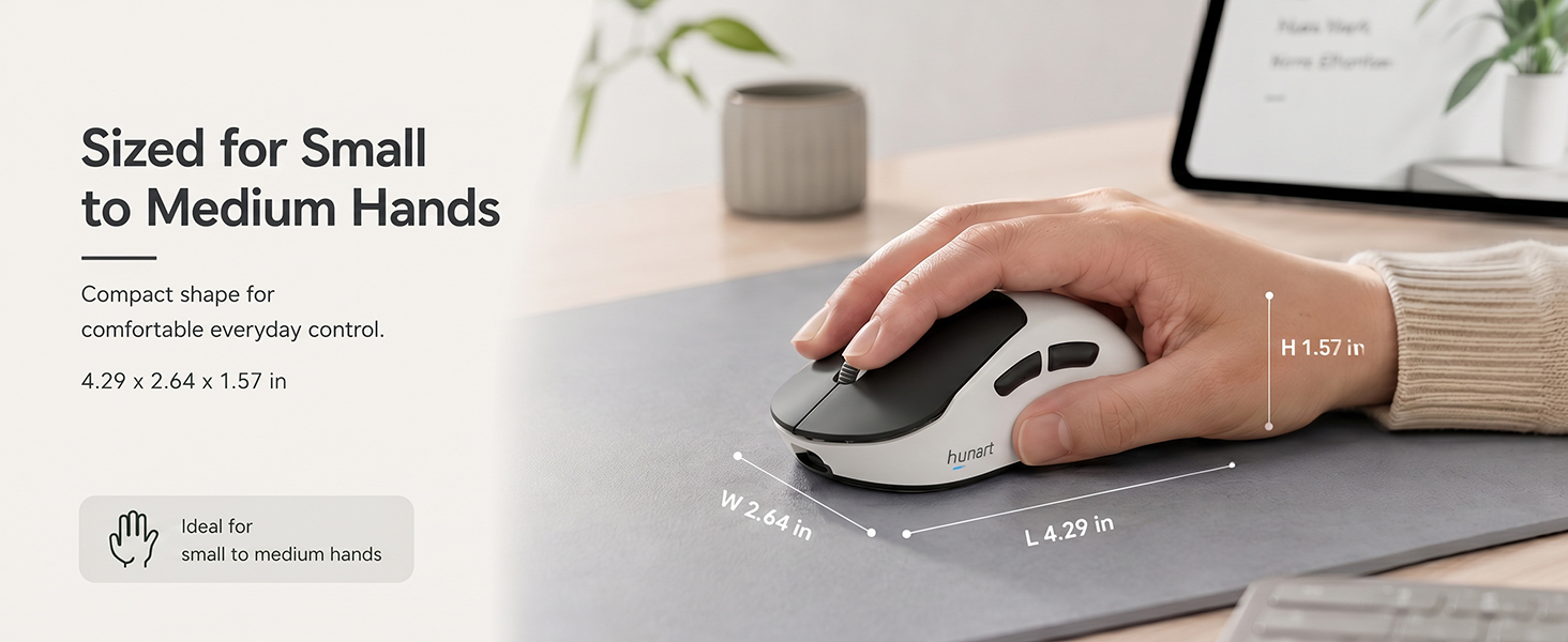 H6 Mouse