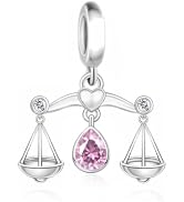 BSFJTY S925 Sterling Silver Waterdrop Birthstone Signs Charms, The Zodiac 12 Constellation Pendan...