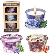Lavender Thyme/Apple Cinnamon/Balsam Cedar Scented Aromatherapy Candles-8% Essential Oil, Long-La...