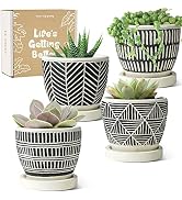 LE TAUCI Succulent Pots, 3.5 Inch Cement Plant Pot with Drainage Holes & Saucers, Beautiful Gifts...