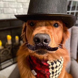 KICNIC mustaches