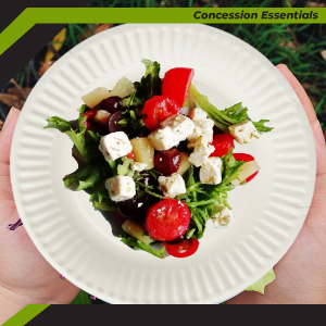 9 inch Disposable paper Plates
