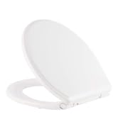 toilet seat