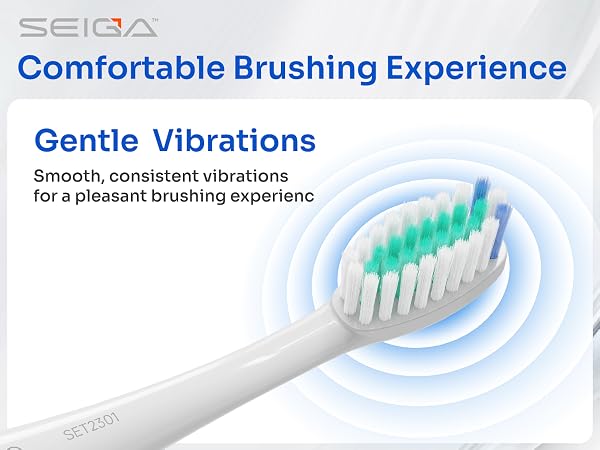 SEIGA Sonic Electric Toothbrush for Adults__A+_03_2