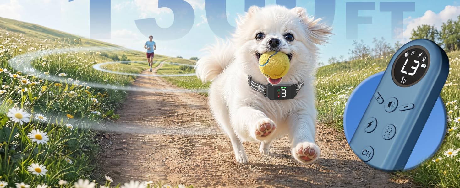 Small Shock Collar for Dogs
