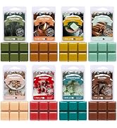 SoulOrigin Winter Scented Wax Melts, Soy Wax Cubes Gift Set for Wax Warmer -Forest Pine,Spiced Ap...