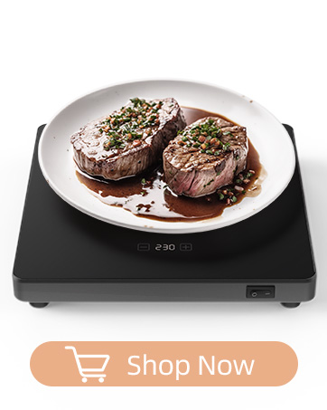 food warmer.1