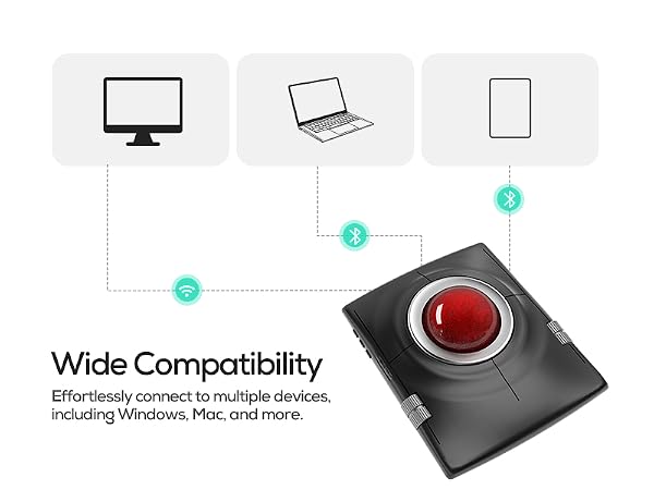 https://m.media-amazon.com/images/S/aplus-media-library-service-media/e3599474-144c-4c9e-a815-bde8d3f18cdc.__CR0,0,800,600_PT0_SX600_V1___.jpg