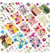 NESCCI 420 Pcs Dried Pressed Flowers for Resin,Real Nature Dried Flowers for Crafts Bulk Dry Flow...