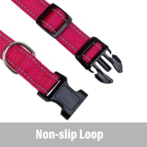 dog collar