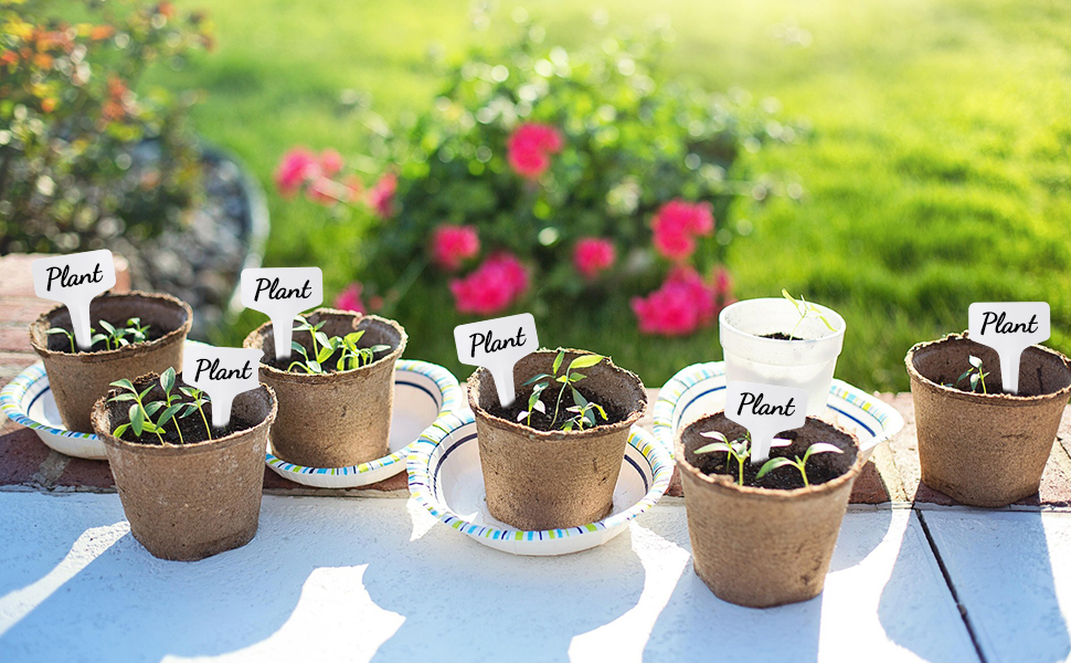 seedling grow labels
