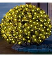 Meteds 6Ftx4Ft LED Christmas Net Lights Green Wire,Connectable UL Certified Waterptoof Net Lights...