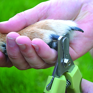 Safari Dog Nail Trimmer