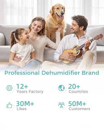 Erizolt Dehumidifiers for Home