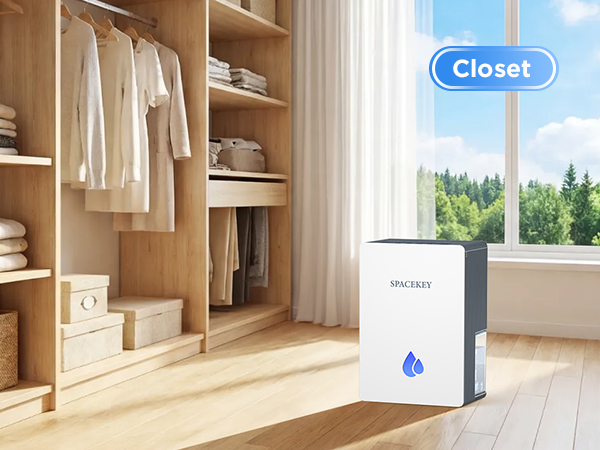 small dehumidifiers for walk in closets