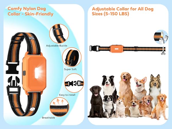 puppy collar training with remote control