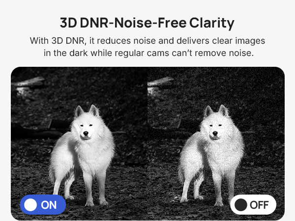 3D DNR-Noise-Free Clarity