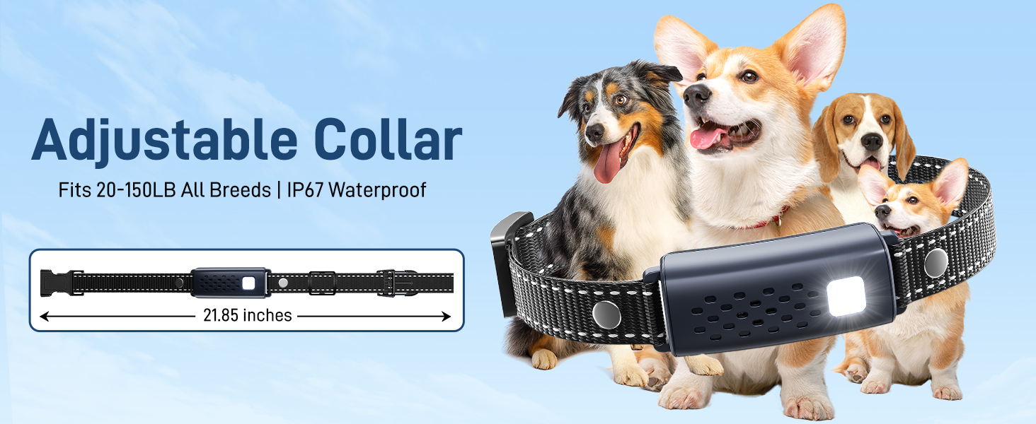 adjustable collar fits most dogs