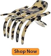 Camila Paris CP3473 Hair Clips for women