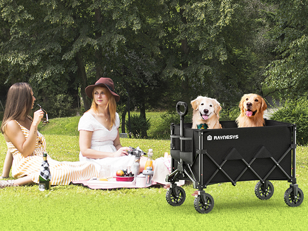 wagons carts foldable