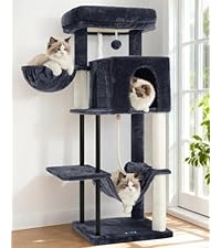 https://m.media-amazon.com/images/I/41RKM5zuevL.__AC_SR200,225___.jpg