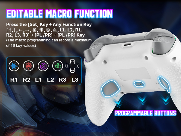 PlayStation 5 Controllers