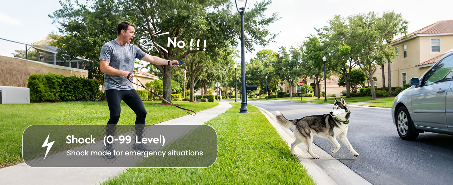 dog training collar with remote