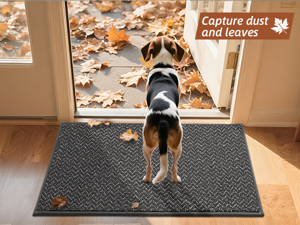 dirt trapper entry mat