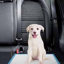 Dog Pads for Travel