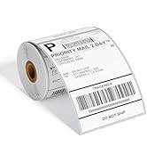 4x6 Thermal Labels, Shipping Address Label (Pack of 250 4x6 Roll Labels) - Compatible with JADENS...