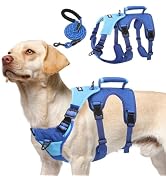 PUPTECK Escape Proof Dog Harness and Leash Set Upgraded No Pull Reflective Dog Vest with Lift Han...