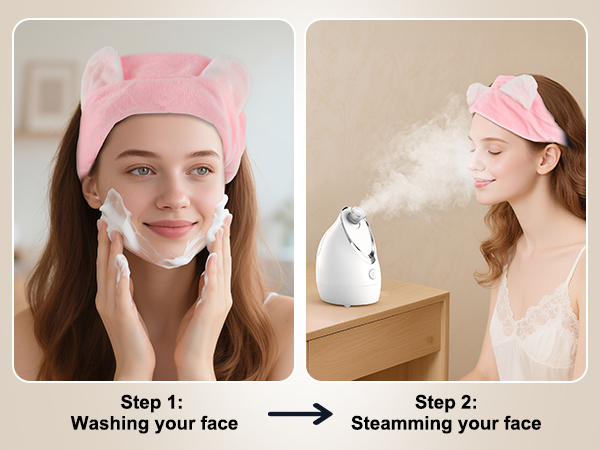 steamer for face