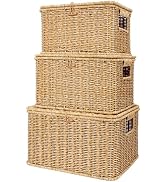 Nonam Wicket Basket with Lid, Large Shelf Baskets for Boho Deco, Plastic Storage Organizer Bins-S...