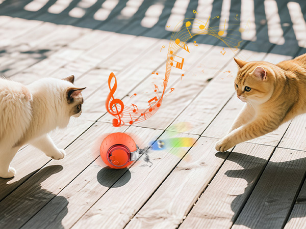 cat rolling ball toy