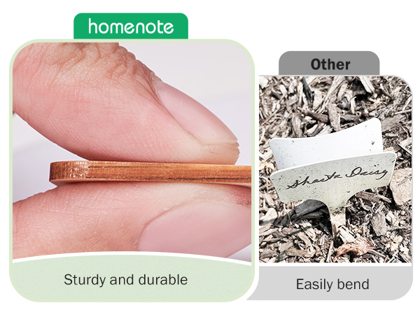 Bamboo Plant Labels