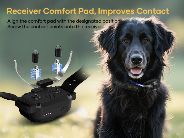 training collar with remote