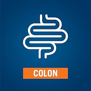 Colon