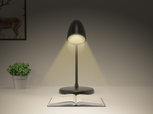 adjustable brightness level