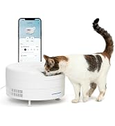 PetSafe FreshFeed Refrigerated Pet Feeder Automatic Wet Food Feeder for Cats & Small Dogs App Con...