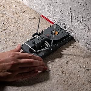 how to use the power-kill rat trap