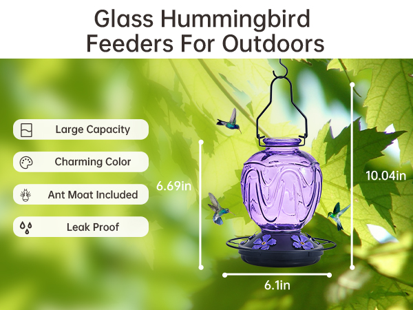 hummingbird feeder glass