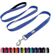 PenSeepet Dog Leash 6 FT Padded Handle Nylon Reflective Dogs Leashes for Medium Dogs Blue