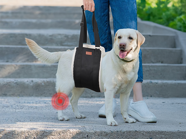PICK FOR LIFE Dog Lift Harness dog sling for large dogs hind leg support