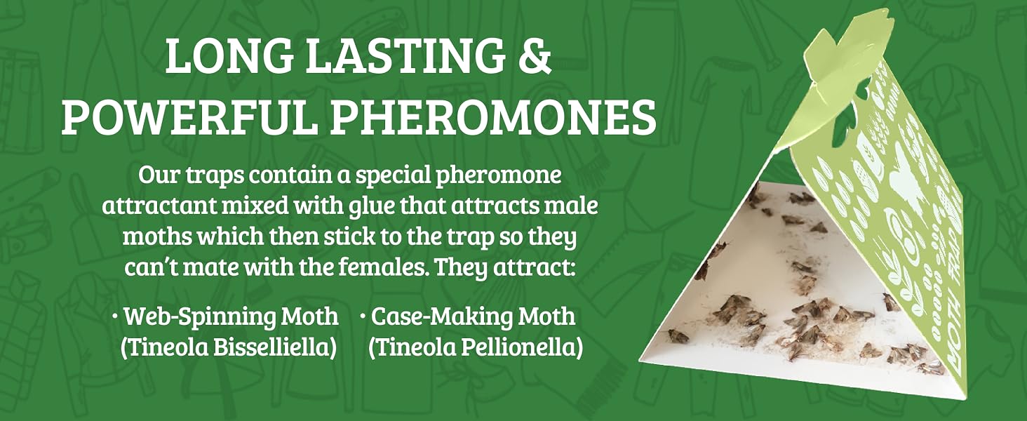 clothes moth trap