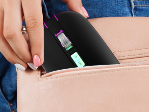 mice computer