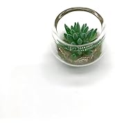 Tiosen Green Miniature Potted Plant, Artificial Plant Decor for Micro Landscape for Micro Landsca...