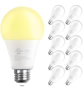 DAYBETTER 10 Pack A19 LED Light Bulbs, 60 Watt Equivalent LED Bulbs, Long Lifespan High Brightnes...